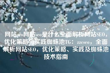 网站seo网站seo是什么全面解析网站SEO，优化策略与实践蜘蛛池TG：zzcseo，全面解析网站SEO，优化策略、实践及蜘蛛池技术指南