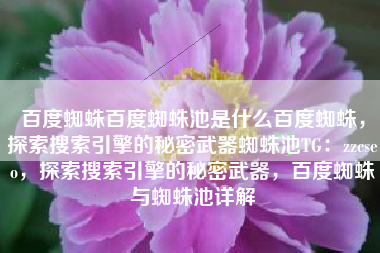 百度蜘蛛百度蜘蛛池是什么百度蜘蛛，探索搜索引擎的秘密武器蜘蛛池TG：zzcseo，探索搜索引擎的秘密武器，百度蜘蛛与蜘蛛池详解
