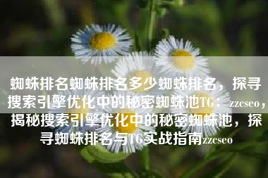 蜘蛛排名蜘蛛排名多少蜘蛛排名，探寻搜索引擎优化中的秘密蜘蛛池TG：zzcseo，揭秘搜索引擎优化中的秘密蜘蛛池，探寻蜘蛛排名与TG实战指南zzcseo