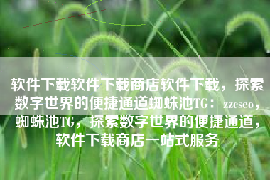 软件下载软件下载商店软件下载，探索数字世界的便捷通道蜘蛛池TG：zzcseo，蜘蛛池TG，探索数字世界的便捷通道，软件下载商店一站式服务