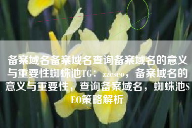 备案域名备案域名查询备案域名的意义与重要性蜘蛛池TG：zzcseo，备案域名的意义与重要性，查询备案域名，蜘蛛池SEO策略解析