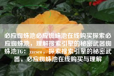 必应蜘蛛池必应蜘蛛池在线购买探索必应蜘蛛池，理解搜索引擎的秘密武器蜘蛛池TG：zzcseo，探索搜索引擎的秘密武器，必应蜘蛛池在线购买与理解