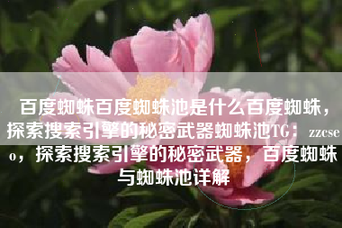 百度蜘蛛百度蜘蛛池是什么百度蜘蛛，探索搜索引擎的秘密武器蜘蛛池TG：zzcseo，探索搜索引擎的秘密武器，百度蜘蛛与蜘蛛池详解