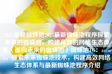2025最新蜘蛛池2025最新蜘蛛池程序探索未来的蜘蛛池，构建高效的网络生态体系（面向未来的蜘蛛池）蜘蛛池TG：zzcseo，探索未来蜘蛛池技术，构建高效网络生态体系与最新蜘蛛池程序介绍