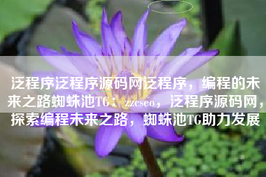 泛程序泛程序源码网泛程序，编程的未来之路蜘蛛池TG：zzcseo，泛程序源码网，探索编程未来之路，蜘蛛池TG助力发展