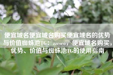 便宜域名便宜域名购买便宜域名的优势与价值蜘蛛池TG：zzcseo，便宜域名购买，优势、价值与蜘蛛池TG的使用指南