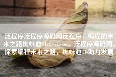 泛程序泛程序源码网泛程序，编程的未来之路蜘蛛池TG：zzcseo，泛程序源码网，探索编程未来之路，蜘蛛池TG助力发展