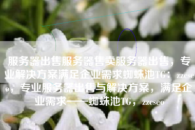 服务器出售服务器售卖服务器出售，专业解决方案满足企业需求蜘蛛池TG：zzcseo，专业服务器出售与解决方案，满足企业需求——蜘蛛池TG，zzcseo