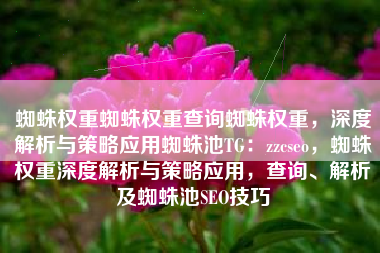 蜘蛛权重蜘蛛权重查询蜘蛛权重，深度解析与策略应用蜘蛛池TG：zzcseo，蜘蛛权重深度解析与策略应用，查询、解析及蜘蛛池SEO技巧
