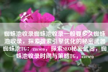蜘蛛池收录蜘蛛池收录一般要多久蜘蛛池收录，探索搜索引擎优化的秘密武器蜘蛛池TG：zzcseo，探索SEO秘密武器，蜘蛛池收录时间与策略TG，zzcseo