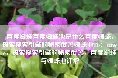 百度蜘蛛百度蜘蛛池是什么百度蜘蛛，探索搜索引擎的秘密武器蜘蛛池TG：zzcseo，探索搜索引擎的秘密武器，百度蜘蛛与蜘蛛池详解