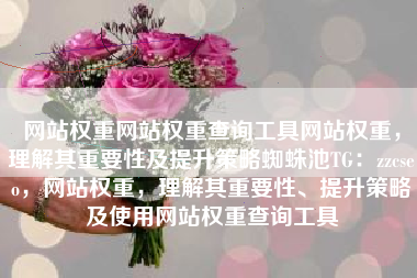 网站权重网站权重查询工具网站权重，理解其重要性及提升策略蜘蛛池TG：zzcseo，网站权重，理解其重要性、提升策略及使用网站权重查询工具