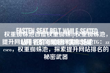 权重蜘蛛池百度权重蜘蛛ip权重蜘蛛池，提升网站排名的新领域探索蜘蛛池TG：zzcseo，权重蜘蛛池，探索提升网站排名的秘密武器