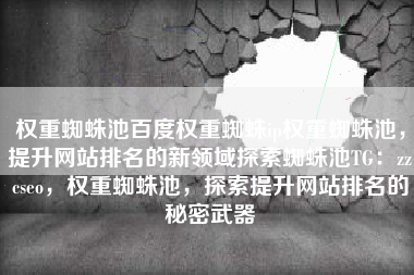 权重蜘蛛池百度权重蜘蛛ip权重蜘蛛池，提升网站排名的新领域探索蜘蛛池TG：zzcseo，权重蜘蛛池，探索提升网站排名的秘密武器