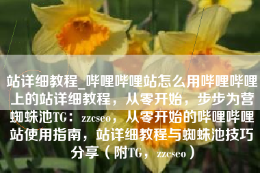 站详细教程_哔哩哔哩站怎么用哔哩哔哩上的站详细教程，从零开始，步步为营蜘蛛池TG：zzcseo，从零开始的哔哩哔哩站使用指南，站详细教程与蜘蛛池技巧分享（附TG，zzcseo）