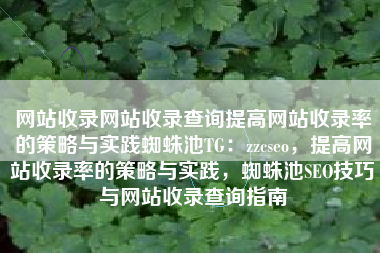 网站收录网站收录查询提高网站收录率的策略与实践蜘蛛池TG：zzcseo，提高网站收录率的策略与实践，蜘蛛池SEO技巧与网站收录查询指南