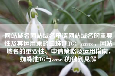 网站域名网站域名申请网站域名的重要性及其运用策略蜘蛛池TG：zzcseo，网站域名的重要性、申请策略及运用指南，蜘蛛池TG与zzcseo的独到见解