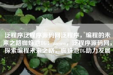 泛程序泛程序源码网泛程序，编程的未来之路蜘蛛池TG：zzcseo，泛程序源码网，探索编程未来之路，蜘蛛池TG助力发展