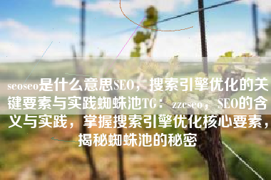 seoseo是什么意思SEO，搜索引擎优化的关键要素与实践蜘蛛池TG：zzcseo，SEO的含义与实践，掌握搜索引擎优化核心要素，揭秘蜘蛛池的秘密