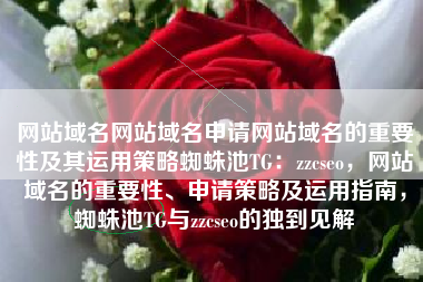网站域名网站域名申请网站域名的重要性及其运用策略蜘蛛池TG：zzcseo，网站域名的重要性、申请策略及运用指南，蜘蛛池TG与zzcseo的独到见解