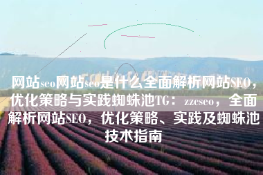 网站seo网站seo是什么全面解析网站SEO，优化策略与实践蜘蛛池TG：zzcseo，全面解析网站SEO，优化策略、实践及蜘蛛池技术指南