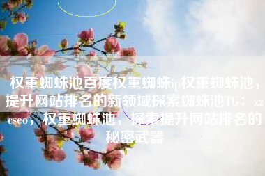 权重蜘蛛池百度权重蜘蛛ip权重蜘蛛池，提升网站排名的新领域探索蜘蛛池TG：zzcseo，权重蜘蛛池，探索提升网站排名的秘密武器