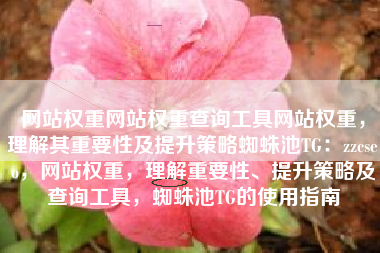 网站权重网站权重查询工具网站权重，理解其重要性及提升策略蜘蛛池TG：zzcseo，网站权重，理解重要性、提升策略及查询工具，蜘蛛池TG的使用指南