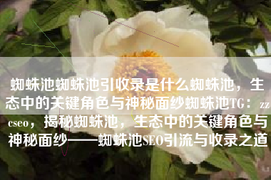 蜘蛛池蜘蛛池引收录是什么蜘蛛池，生态中的关键角色与神秘面纱蜘蛛池TG：zzcseo，揭秘蜘蛛池，生态中的关键角色与神秘面纱——蜘蛛池SEO引流与收录之道