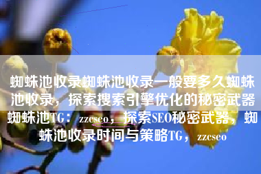 蜘蛛池收录蜘蛛池收录一般要多久蜘蛛池收录，探索搜索引擎优化的秘密武器蜘蛛池TG：zzcseo，探索SEO秘密武器，蜘蛛池收录时间与策略TG，zzcseo