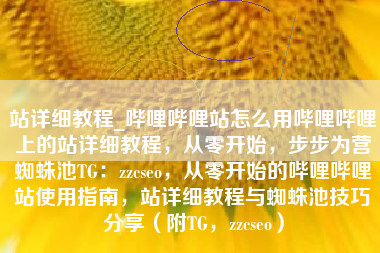 站详细教程_哔哩哔哩站怎么用哔哩哔哩上的站详细教程，从零开始，步步为营蜘蛛池TG：zzcseo，从零开始的哔哩哔哩站使用指南，站详细教程与蜘蛛池技巧分享（附TG，zzcseo）