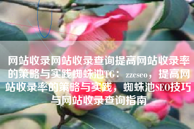 网站收录网站收录查询提高网站收录率的策略与实践蜘蛛池TG：zzcseo，提高网站收录率的策略与实践，蜘蛛池SEO技巧与网站收录查询指南
