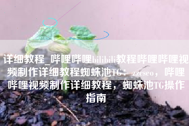 详细教程_哔哩哔哩bilibili教程哔哩哔哩视频制作详细教程蜘蛛池TG：zzcseo，哔哩哔哩视频制作详细教程，蜘蛛池TG操作指南