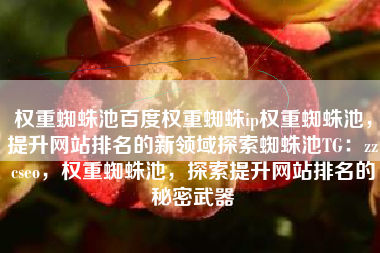 权重蜘蛛池百度权重蜘蛛ip权重蜘蛛池，提升网站排名的新领域探索蜘蛛池TG：zzcseo，权重蜘蛛池，探索提升网站排名的秘密武器