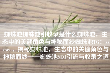 蜘蛛池蜘蛛池引收录是什么蜘蛛池，生态中的关键角色与神秘面纱蜘蛛池TG：zzcseo，揭秘蜘蛛池，生态中的关键角色与神秘面纱——蜘蛛池SEO引流与收录之道