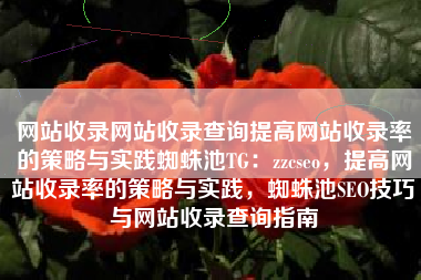 网站收录网站收录查询提高网站收录率的策略与实践蜘蛛池TG：zzcseo，提高网站收录率的策略与实践，蜘蛛池SEO技巧与网站收录查询指南