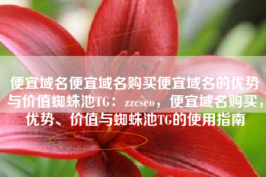 便宜域名便宜域名购买便宜域名的优势与价值蜘蛛池TG：zzcseo，便宜域名购买，优势、价值与蜘蛛池TG的使用指南