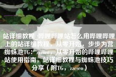 站详细教程_哔哩哔哩站怎么用哔哩哔哩上的站详细教程，从零开始，步步为营蜘蛛池TG：zzcseo，从零开始的哔哩哔哩站使用指南，站详细教程与蜘蛛池技巧分享（附TG，zzcseo）