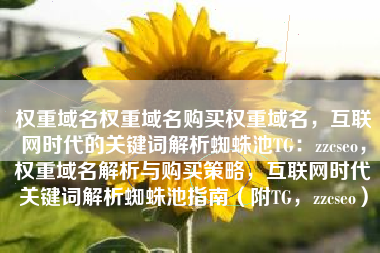 权重域名权重域名购买权重域名，互联网时代的关键词解析蜘蛛池TG：zzcseo，权重域名解析与购买策略，互联网时代关键词解析蜘蛛池指南（附TG，zzcseo）