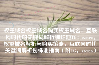 权重域名权重域名购买权重域名，互联网时代的关键词解析蜘蛛池TG：zzcseo，权重域名解析与购买策略，互联网时代关键词解析蜘蛛池指南（附TG，zzcseo）
