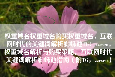 权重域名权重域名购买权重域名，互联网时代的关键词解析蜘蛛池TG：zzcseo，权重域名解析与购买策略，互联网时代关键词解析蜘蛛池指南（附TG，zzcseo）