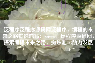 泛程序泛程序源码网泛程序，编程的未来之路蜘蛛池TG：zzcseo，泛程序源码网，探索编程未来之路，蜘蛛池TG助力发展