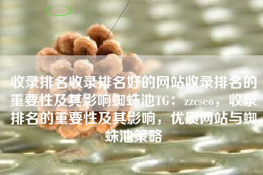 收录排名收录排名好的网站收录排名的重要性及其影响蜘蛛池TG：zzcseo，收录排名的重要性及其影响，优质网站与蜘蛛池策略