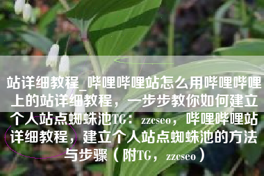 站详细教程_哔哩哔哩站怎么用哔哩哔哩上的站详细教程，一步步教你如何建立个人站点蜘蛛池TG：zzcseo，哔哩哔哩站详细教程，建立个人站点蜘蛛池的方法与步骤（附TG，zzcseo）