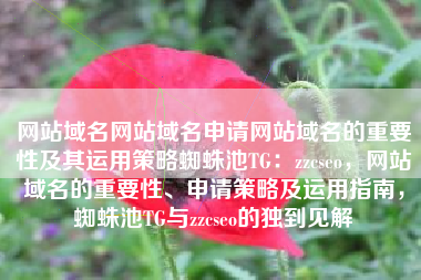 网站域名网站域名申请网站域名的重要性及其运用策略蜘蛛池TG：zzcseo，网站域名的重要性、申请策略及运用指南，蜘蛛池TG与zzcseo的独到见解