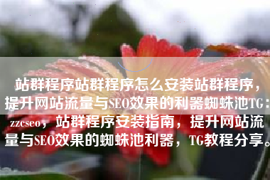 站群程序站群程序怎么安装站群程序，提升网站流量与SEO效果的利器蜘蛛池TG：zzcseo，站群程序安装指南，提升网站流量与SEO效果的蜘蛛池利器，TG教程分享。