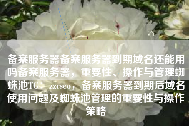 备案服务器备案服务器到期域名还能用吗备案服务器，重要性、操作与管理蜘蛛池TG：zzcseo，备案服务器到期后域名使用问题及蜘蛛池管理的重要性与操作策略