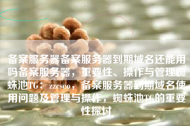 备案服务器备案服务器到期域名还能用吗备案服务器，重要性、操作与管理蜘蛛池TG：zzcseo，备案服务器到期域名使用问题及管理与操作，蜘蛛池TG的重要性探讨