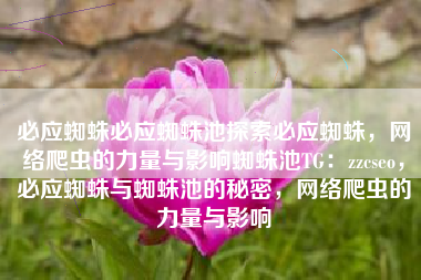 必应蜘蛛必应蜘蛛池探索必应蜘蛛，网络爬虫的力量与影响蜘蛛池TG：zzcseo，必应蜘蛛与蜘蛛池的秘密，网络爬虫的力量与影响