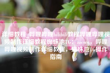 详细教程_哔哩哔哩bilibili教程哔哩哔哩视频制作详细教程蜘蛛池TG：zzcseo，哔哩哔哩视频制作详细教程，蜘蛛池TG操作指南