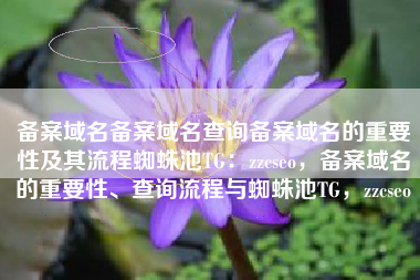 备案域名备案域名查询备案域名的重要性及其流程蜘蛛池TG：zzcseo，备案域名的重要性、查询流程与蜘蛛池TG，zzcseo